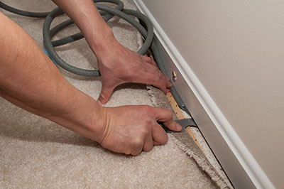 Mold Removal