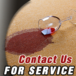 Contact Carpet Cleaning in California